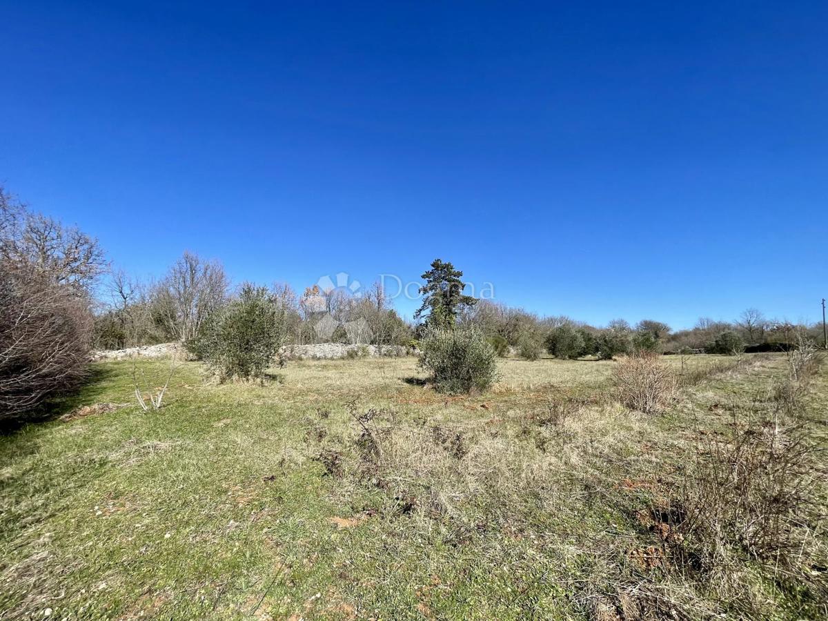 Terreno agricolo Juršići, Svetvinčenat, 6.672m2