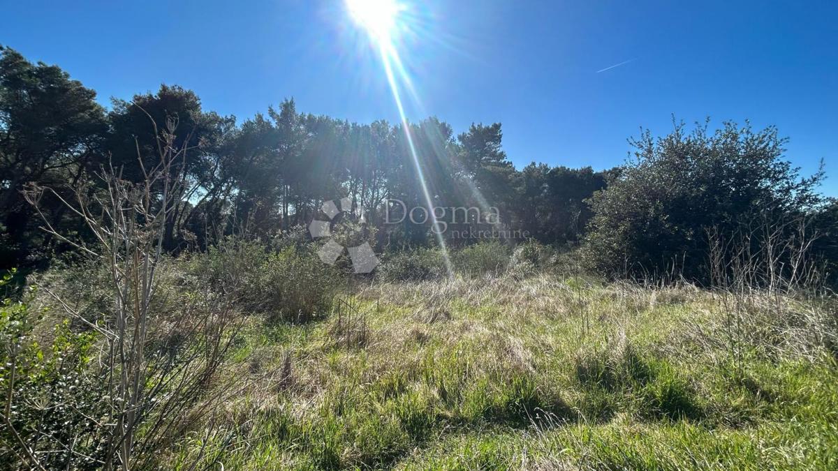 Terreno edificabile Veli vrh, Pula, 998m2