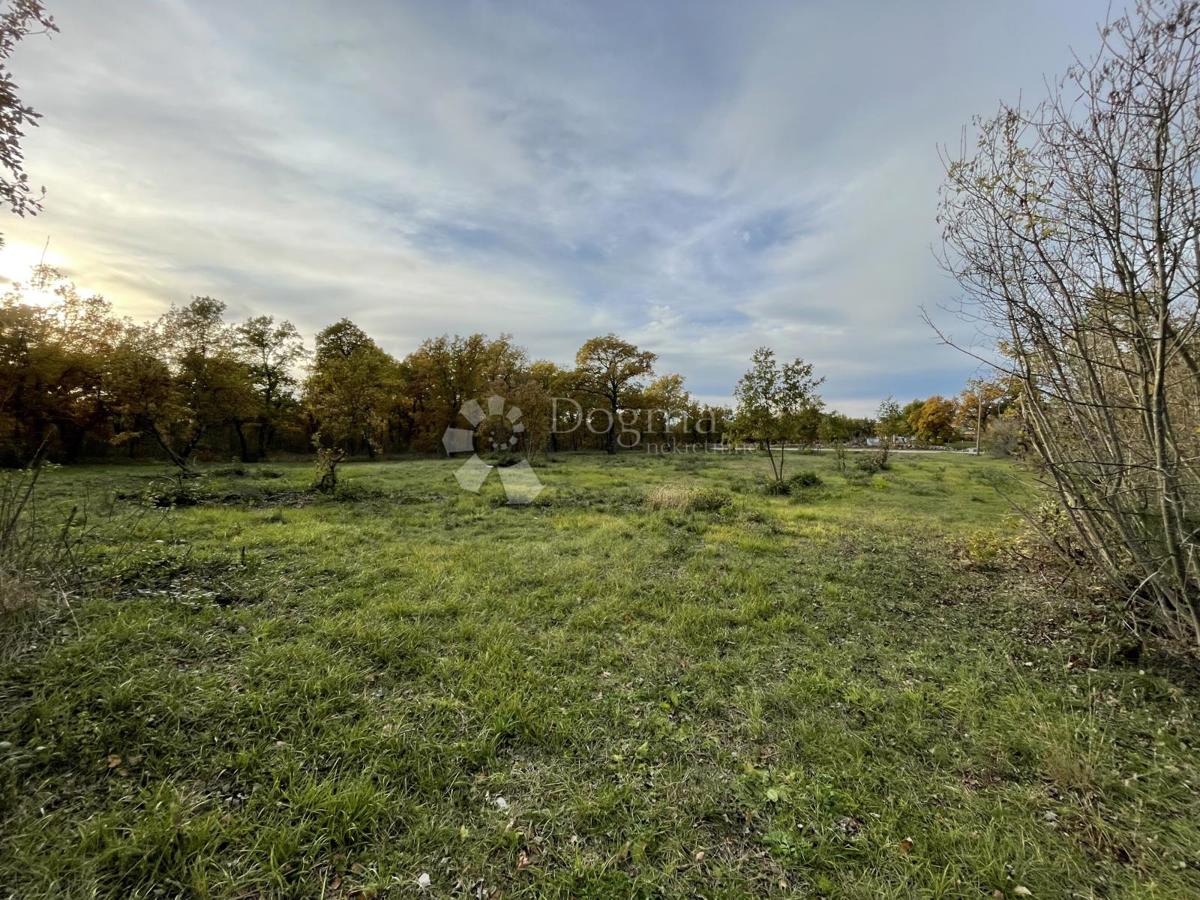 TERRENO CON INFRASTRUTTURE - CASTELNERE, BUIE