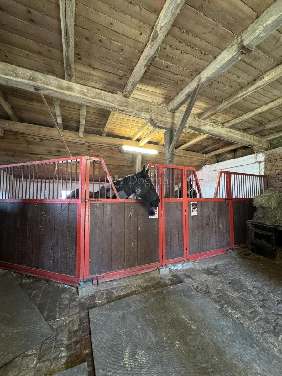 Casa Konak, Vrbovec, 240m2