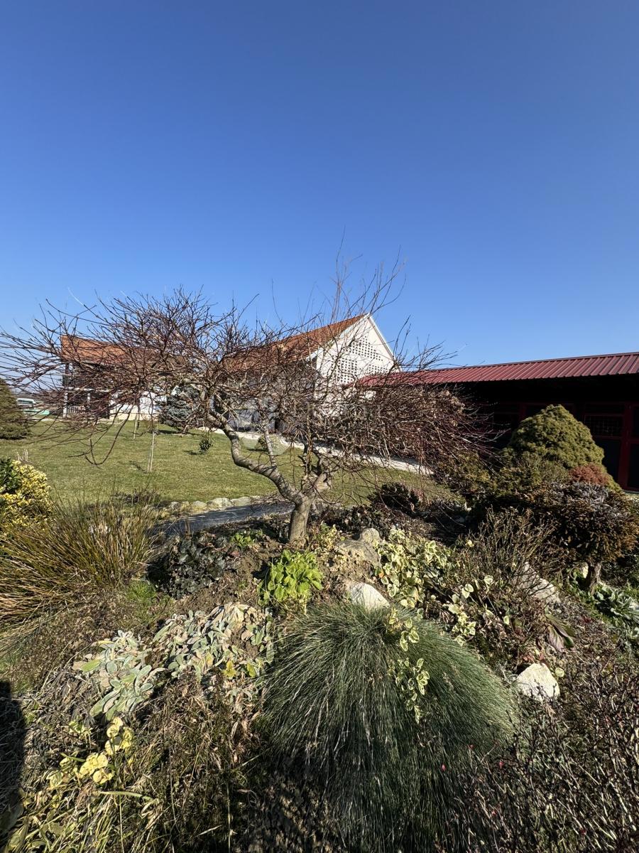 Casa Konak, Vrbovec, 240m2