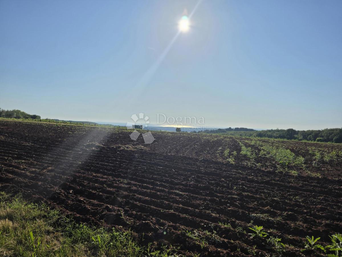 Terreno agricolo Kaštelir, Kaštelir-Labinci, 32.620m2