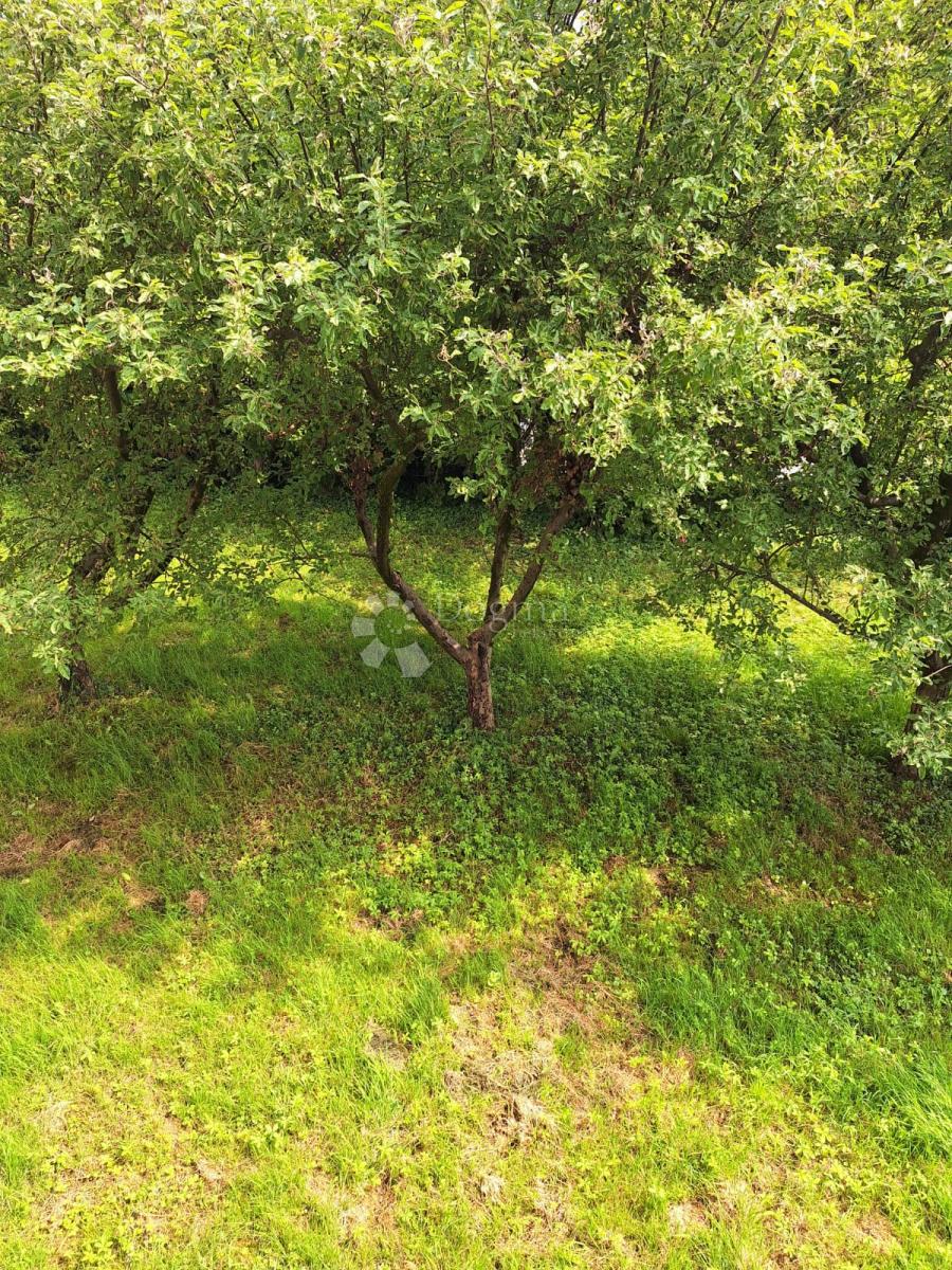 Casa Mikulići, Črnomerec, 339,02m2