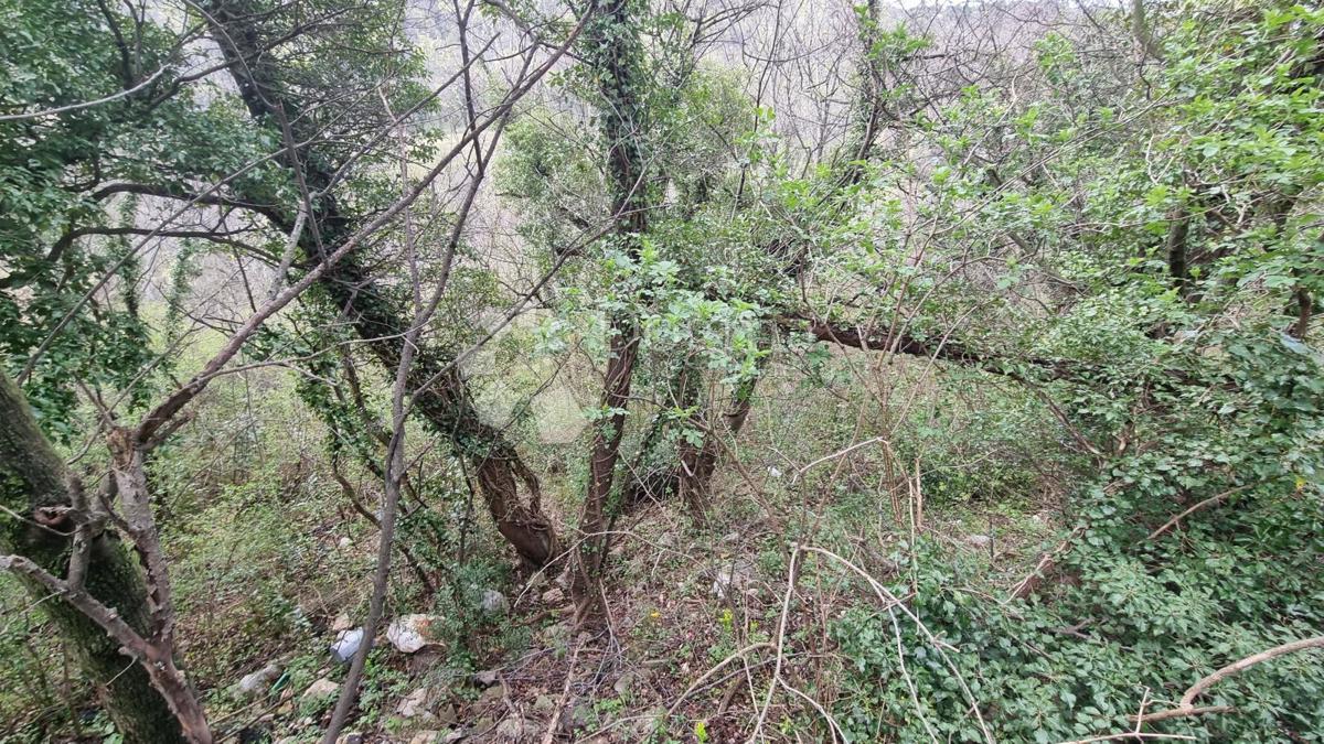 Terreno Draga, Rijeka, 7.124,40m2