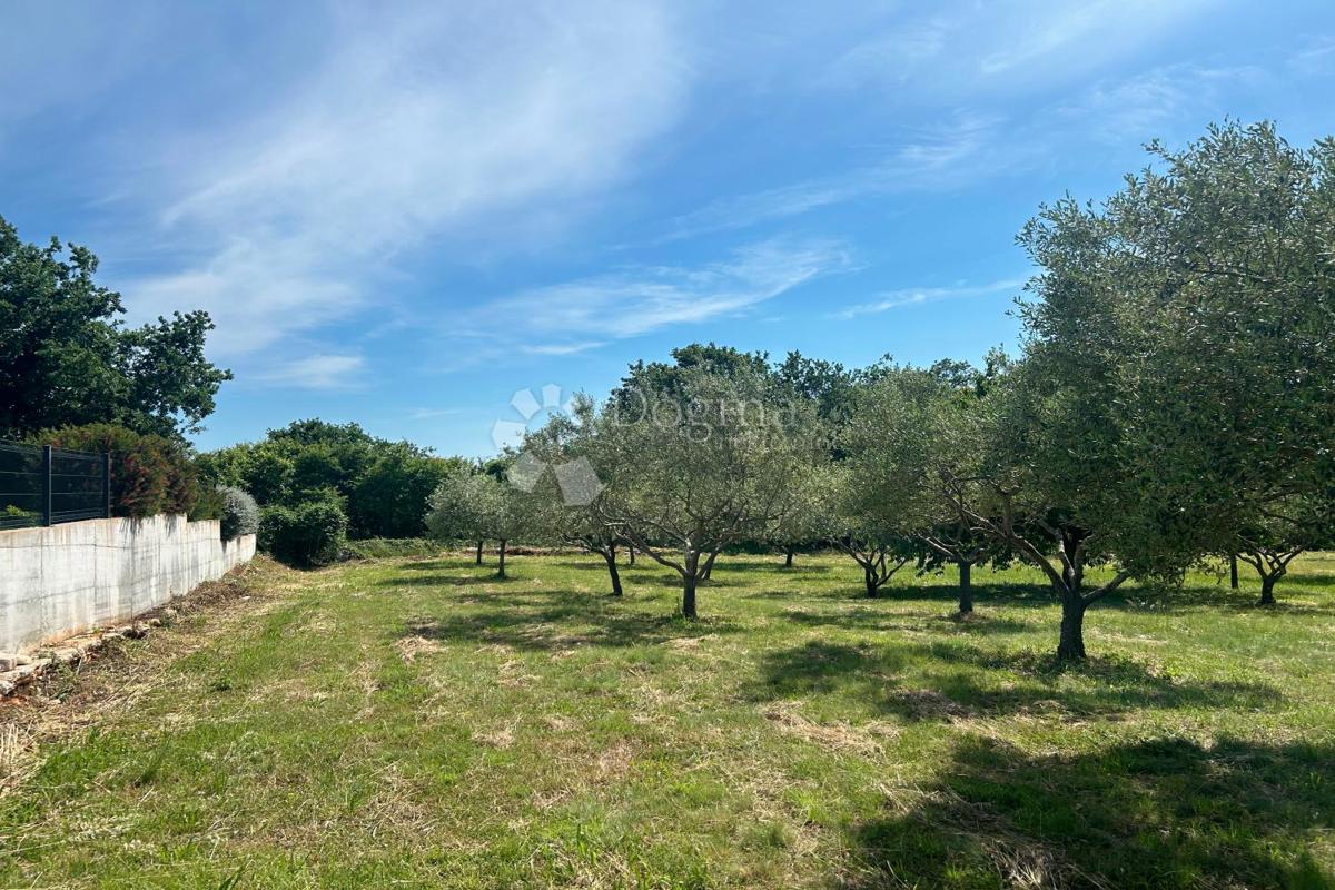 Terreno edificabile Sveti Lovreč, 980m2