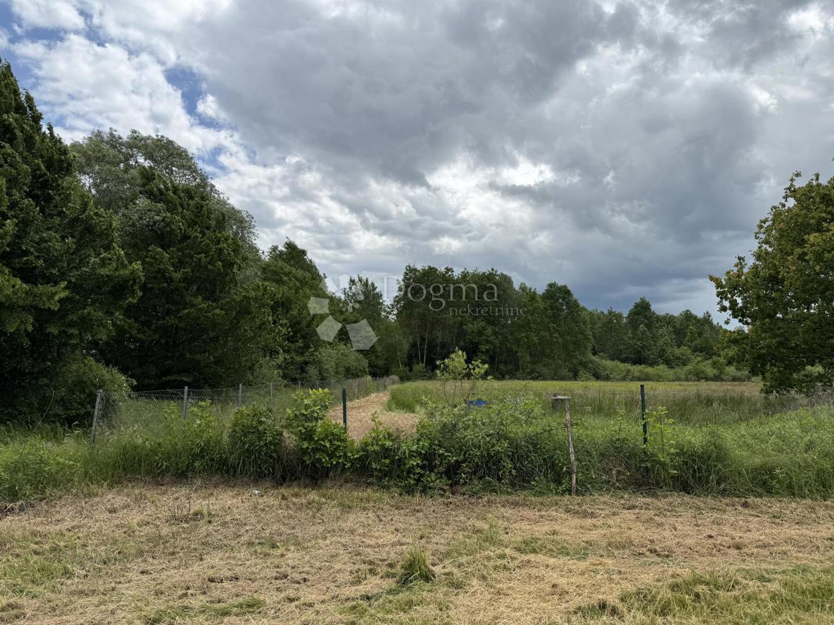 Terreno agricolo di 12.063 m² con edificio agricolo di 600 m²