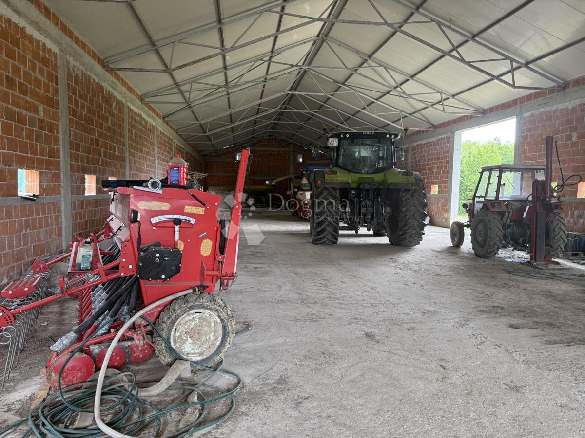 Terreno agricolo di 12.063 m² con edificio agricolo di 600 m²