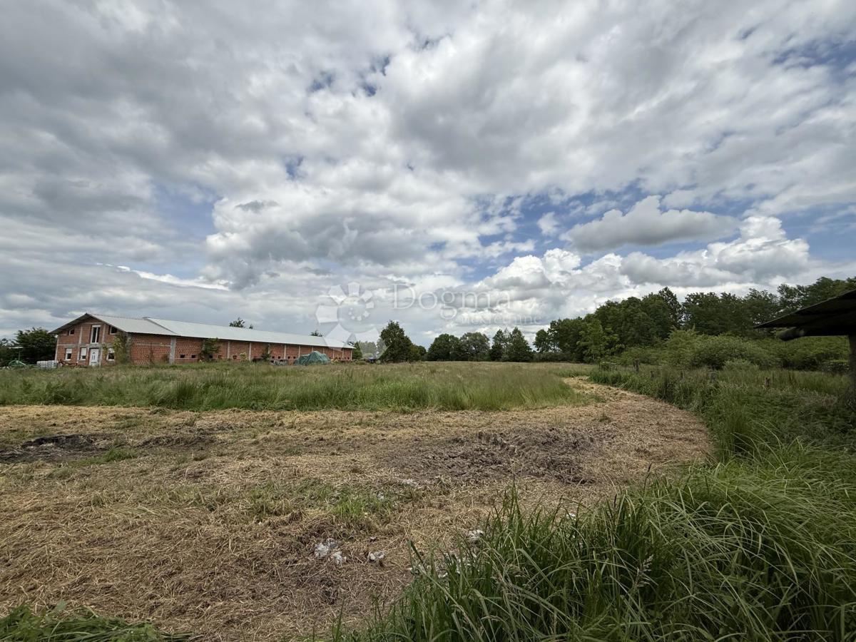 Terreno agricolo di 12.063 m² con edificio agricolo di 600 m²