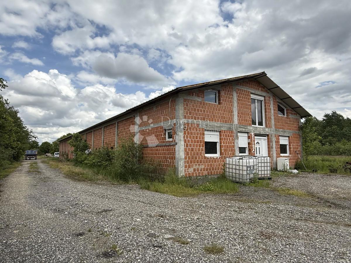 Terreno agricolo di 12.063 m² con edificio agricolo di 600 m²