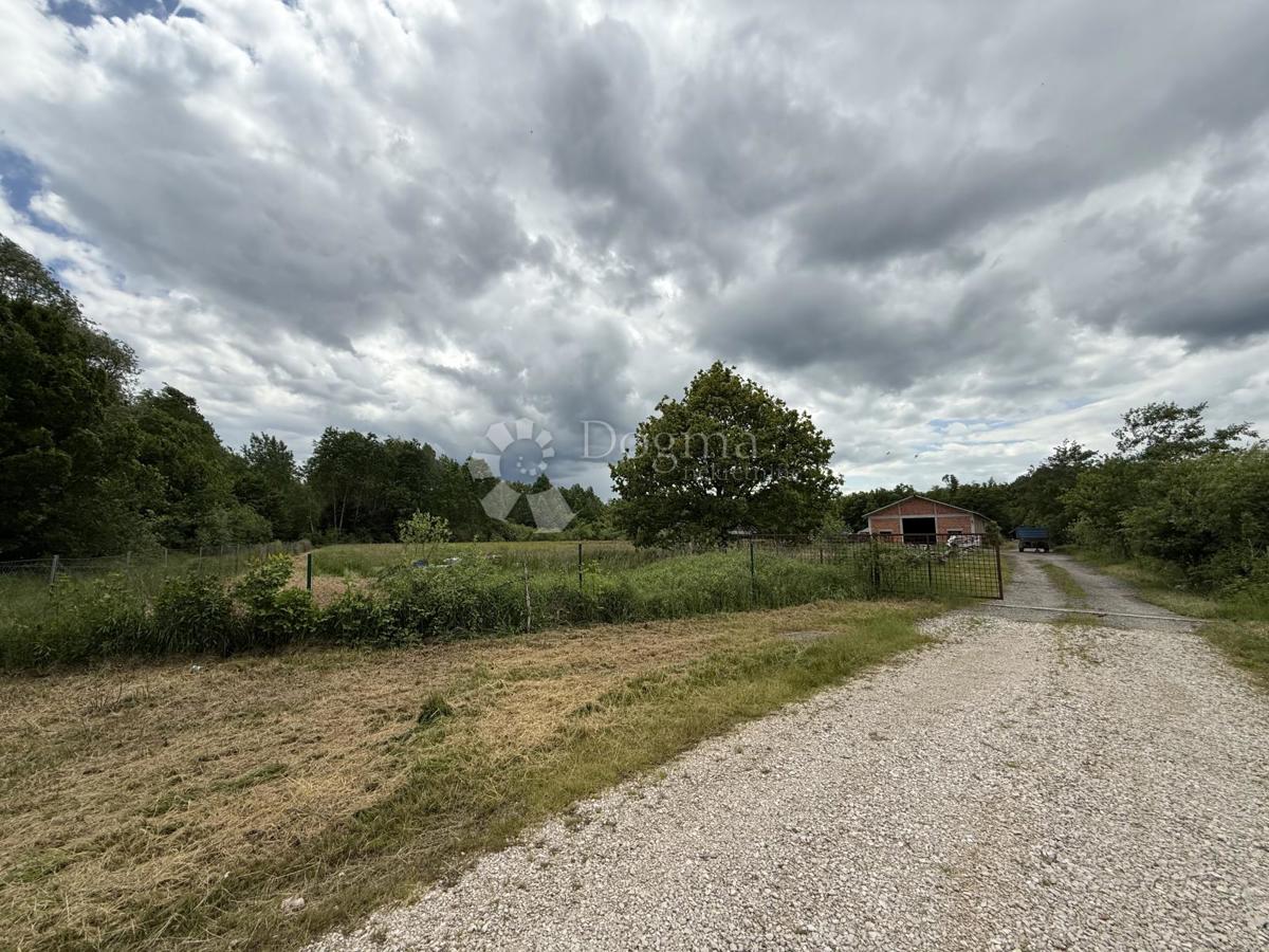 Terreno agricolo di 12.063 m² con edificio agricolo di 600 m²