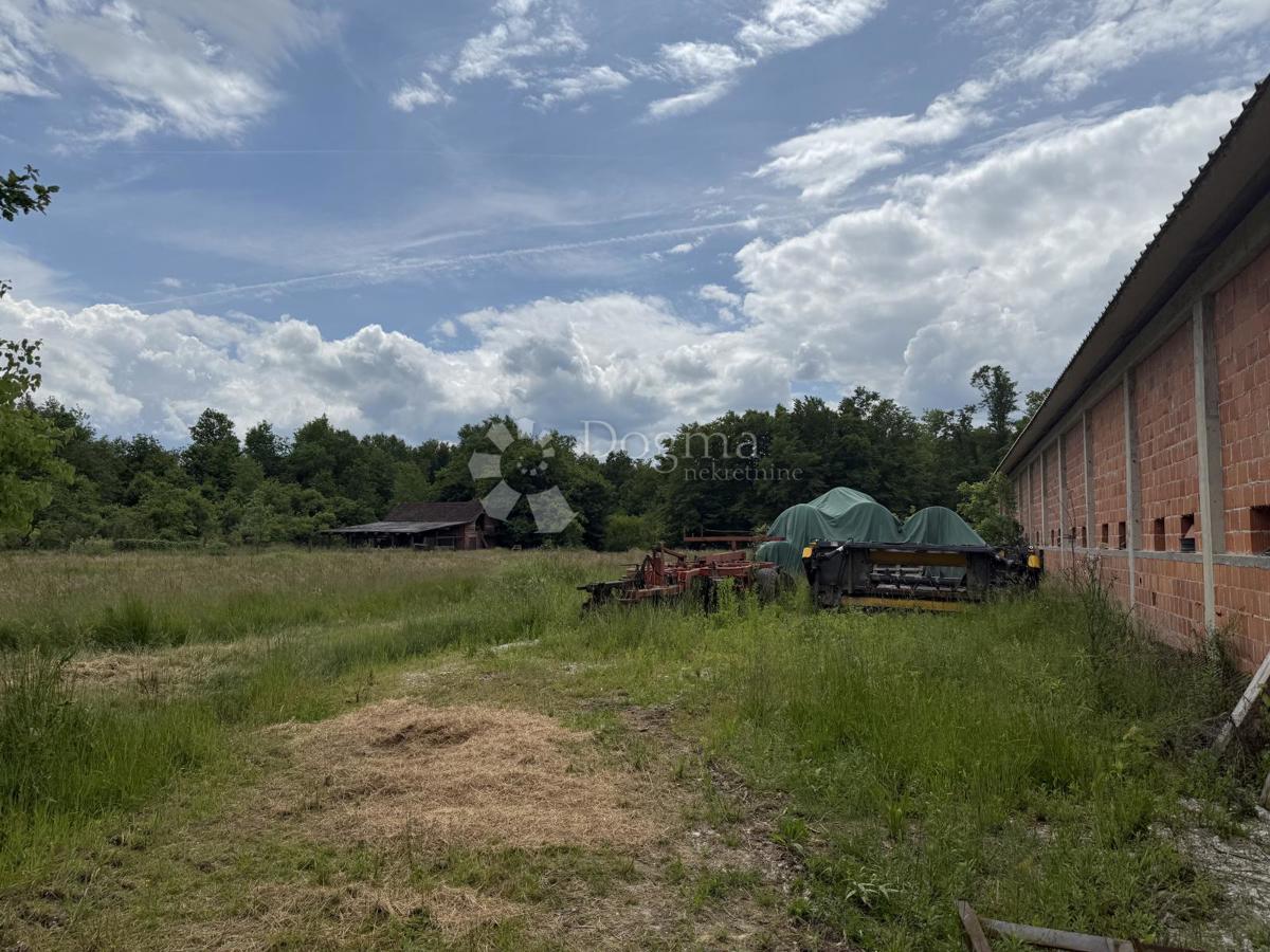 Terreno agricolo di 12.063 m² con edificio agricolo di 600 m²