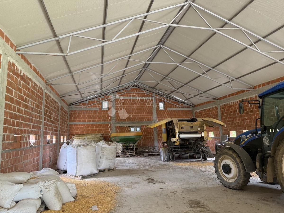 Terreno agricolo di 12.063 m² con edificio agricolo di 600 m²