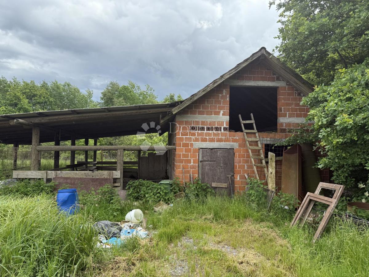 Terreno agricolo di 12.063 m² con edificio agricolo di 600 m²