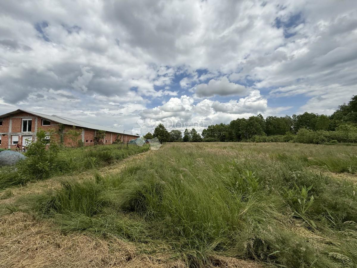 Terreno agricolo di 12.063 m² con edificio agricolo di 600 m²