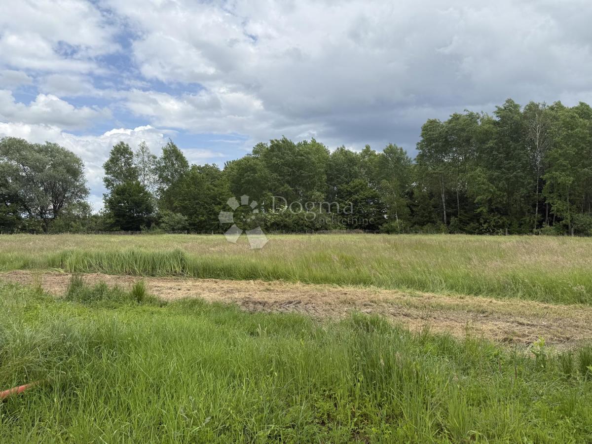 Terreno agricolo di 12.063 m² con edificio agricolo di 600 m²