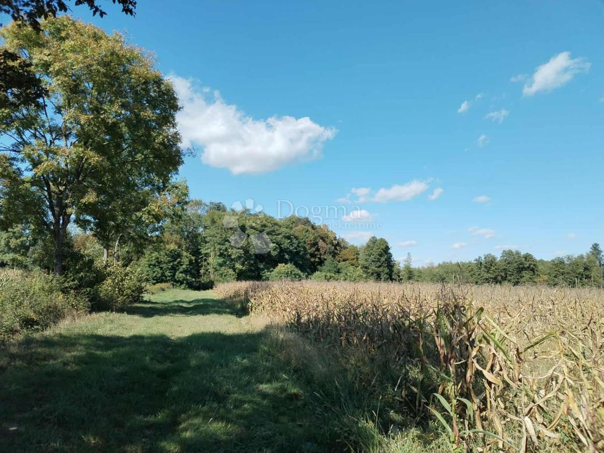 Casa Prečec, Brckovljani, 5m2