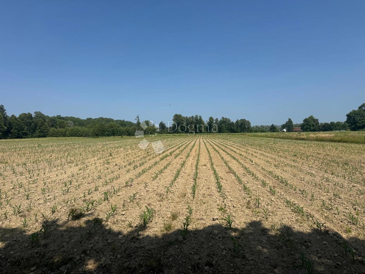 Casa Prečec, Brckovljani, 5m2