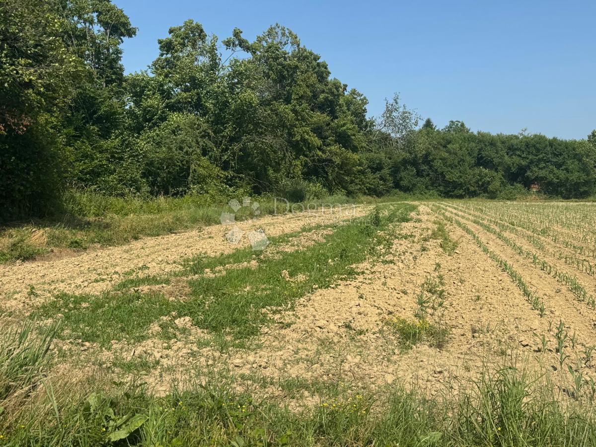 Casa Prečec, Brckovljani, 5m2