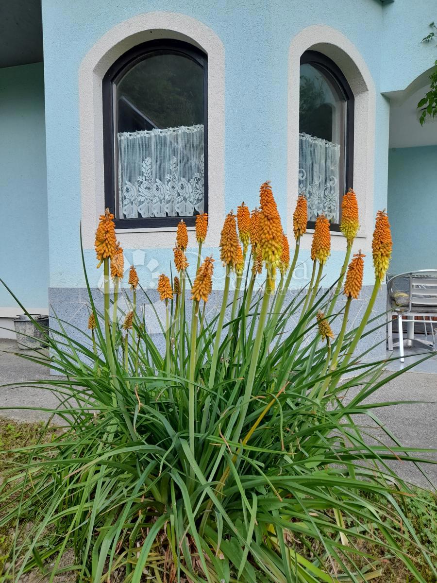 Casa Jazbina Cvetlinska, Bednja, 204m2