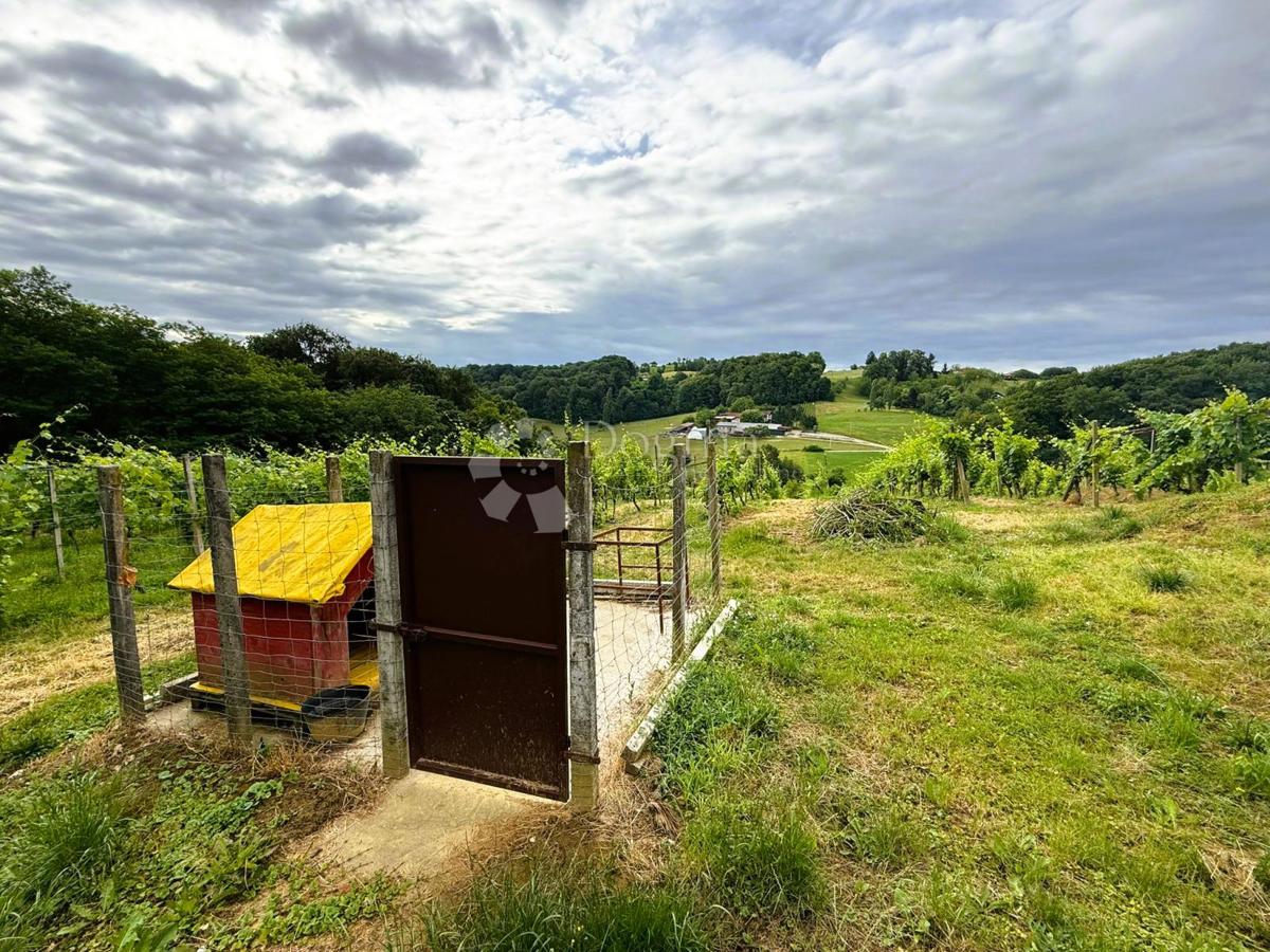 Casa Robadje, Štrigova, 13.279m2