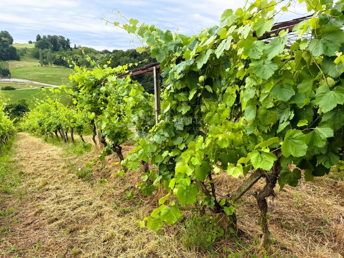 Casa Robadje, Štrigova, 13.279m2