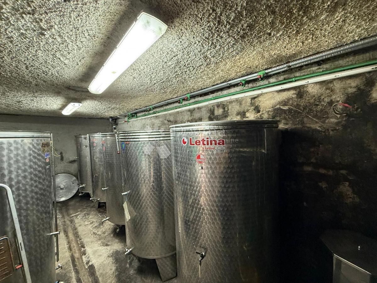 Casa Robadje, Štrigova, 13.279m2