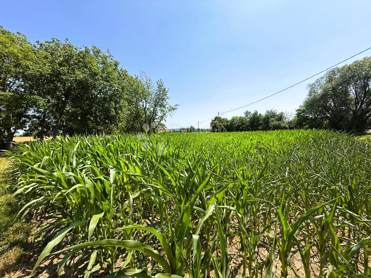 Terreno agricolo Biškupec, Varaždin, 2.938m2