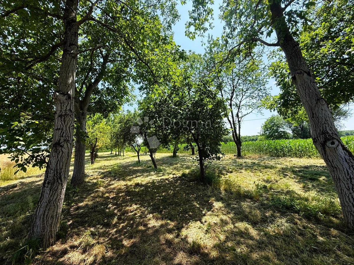 Terreno agricolo Biškupec, Varaždin, 2.938m2