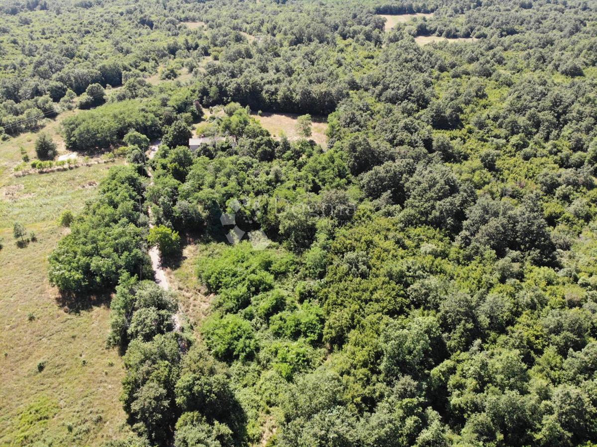 Terreno edificabile Poreč, 1.033m2