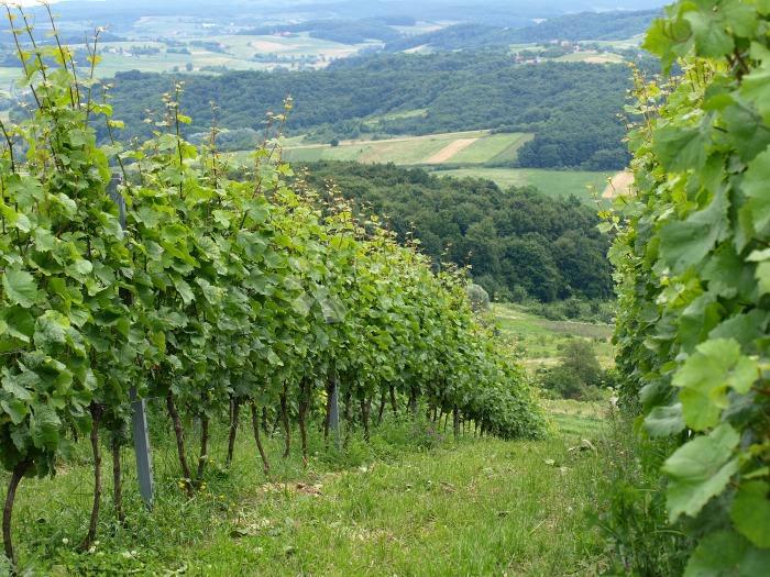 Terreno Cerje Samoborsko, Samobor - Okolica, 696m2