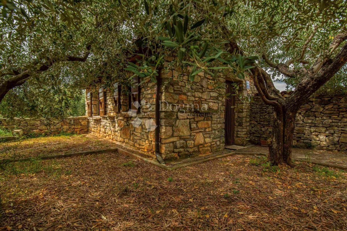 Casa Galižana, Vodnjan, 290m2