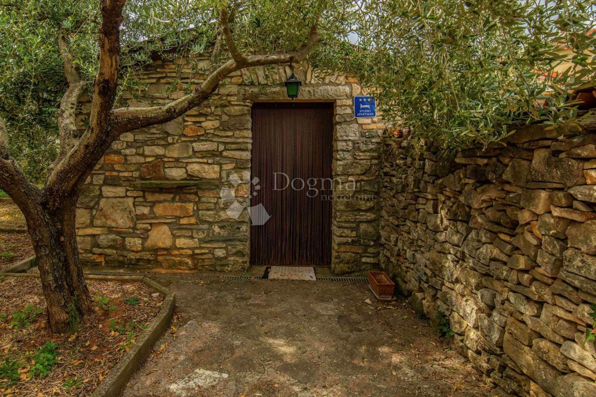 Casa Galižana, Vodnjan, 290m2