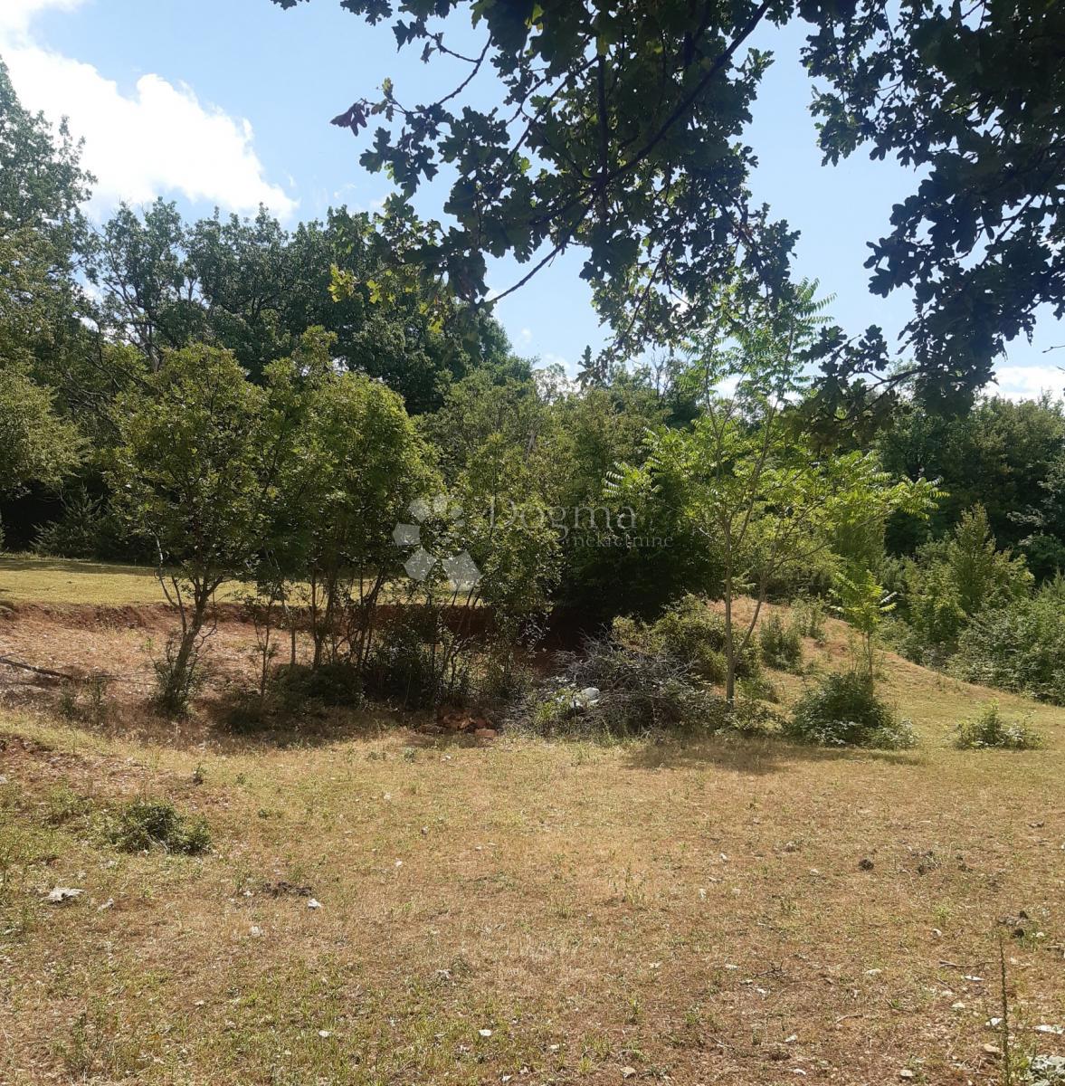 Terreno agricolo Novi Vinodolski, 996m2