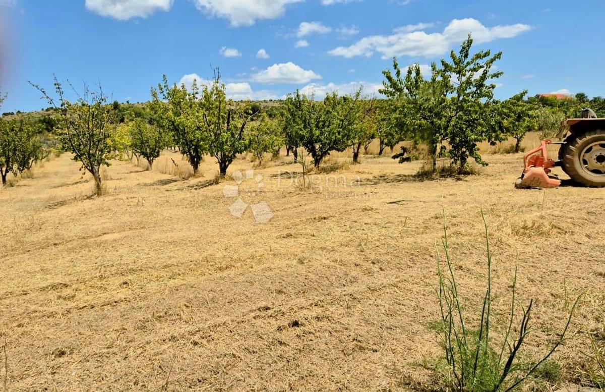 Terreno edificabile Kožlovac, Benkovac, 3.036m2