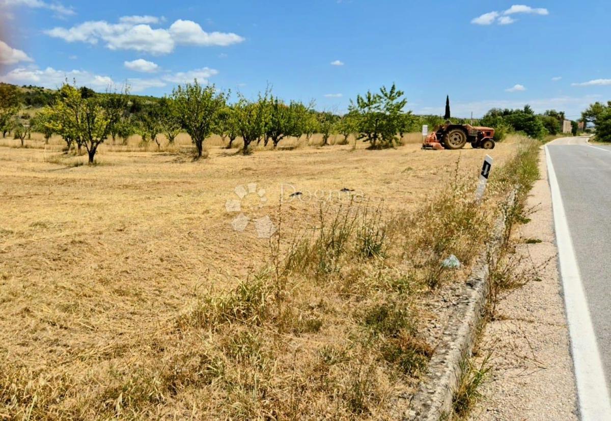 Terreno edificabile Kožlovac, Benkovac, 3.036m2