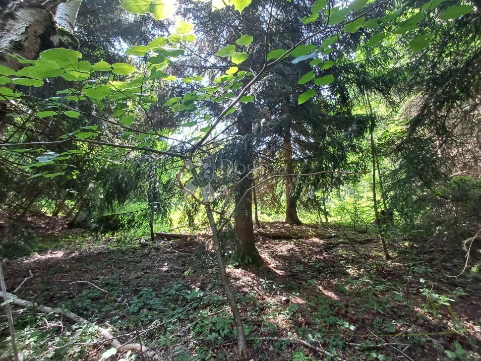 Terreno edificabile Kupjak, Ravna Gora, 3.725m2