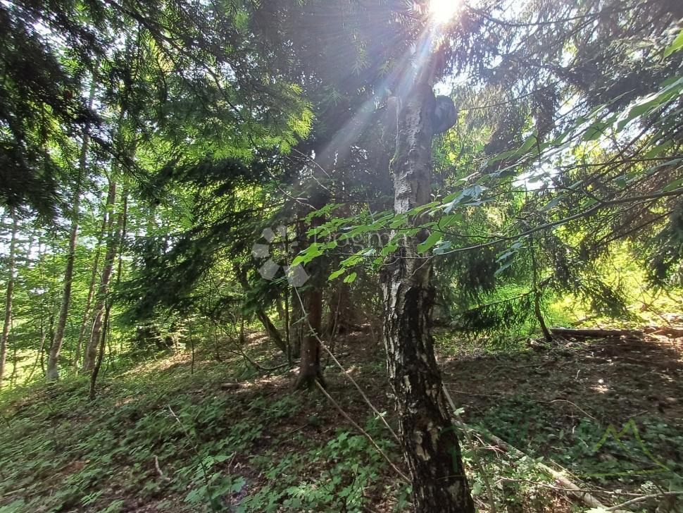 Terreno edificabile Kupjak, Ravna Gora, 3.725m2