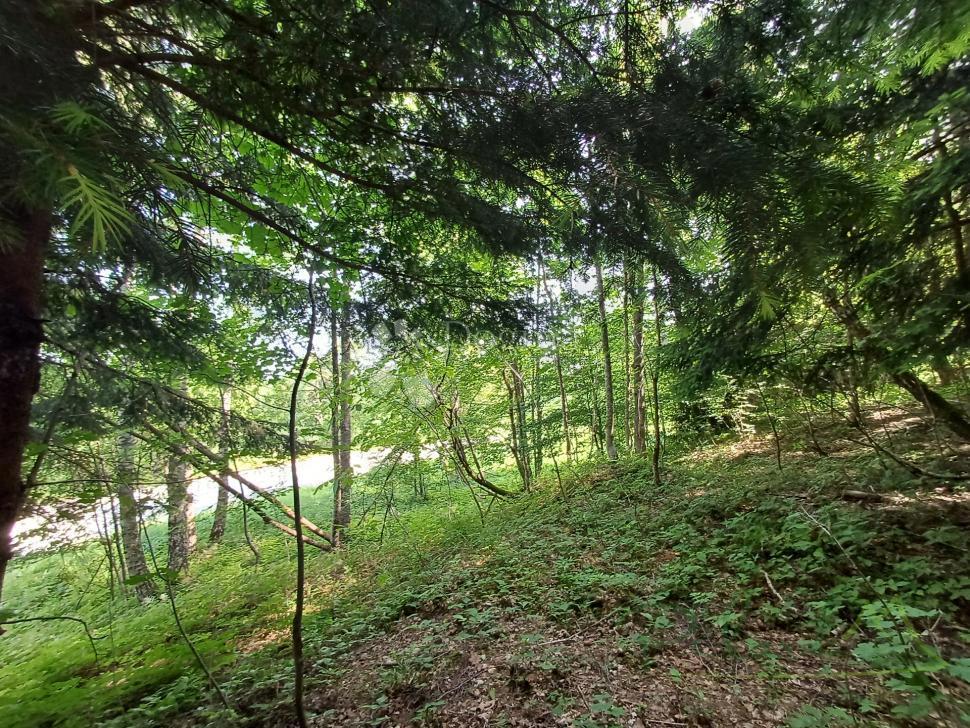 Terreno edificabile Kupjak, Ravna Gora, 3.725m2