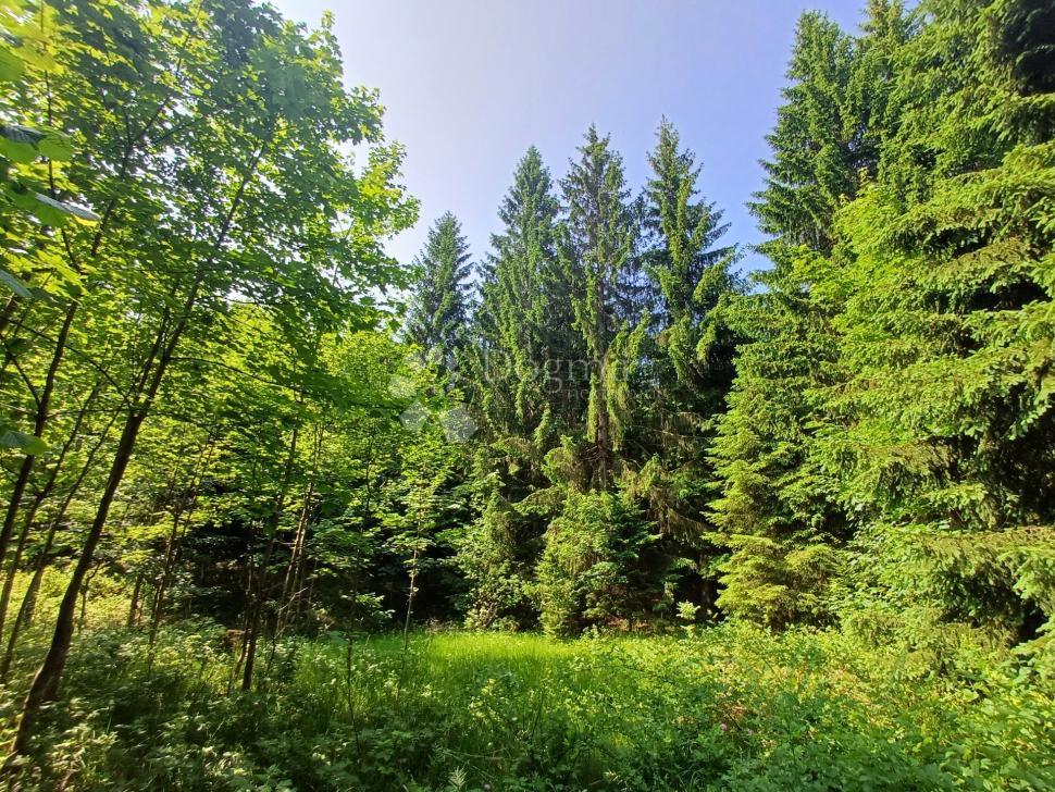 Terreno edificabile Kupjak, Ravna Gora, 3.725m2