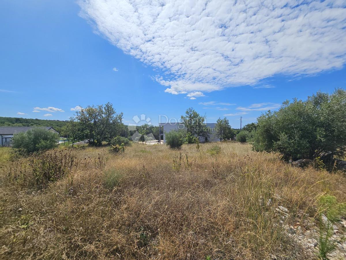 Terreno edificabile Buje, 774m2