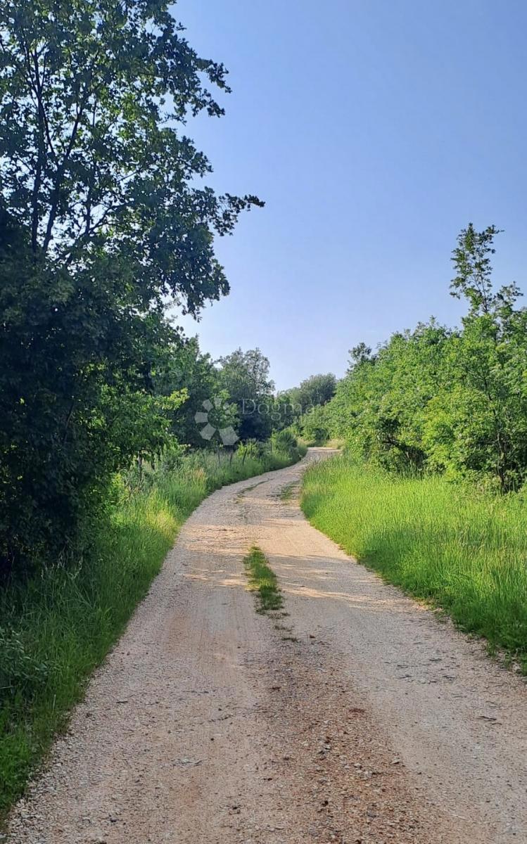 Terreno agricolo Žikovići, Višnjan, 6.118m2