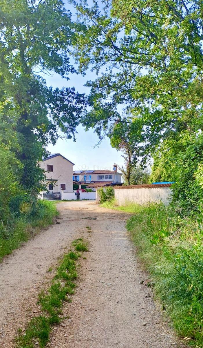 Terreno agricolo Žikovići, Višnjan, 6.118m2