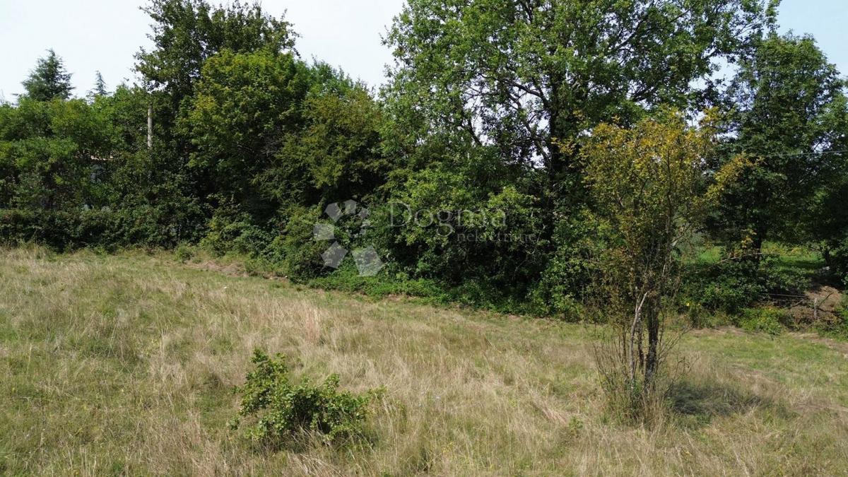Terreno edificabile Labin, 4.460m2