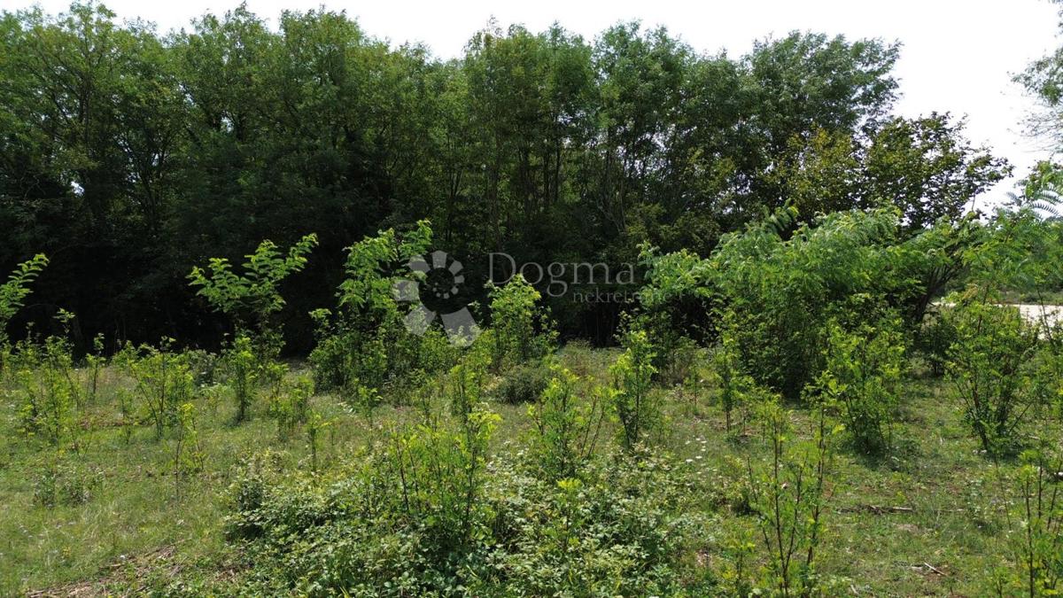 Terreno edificabile Labin, 4.460m2