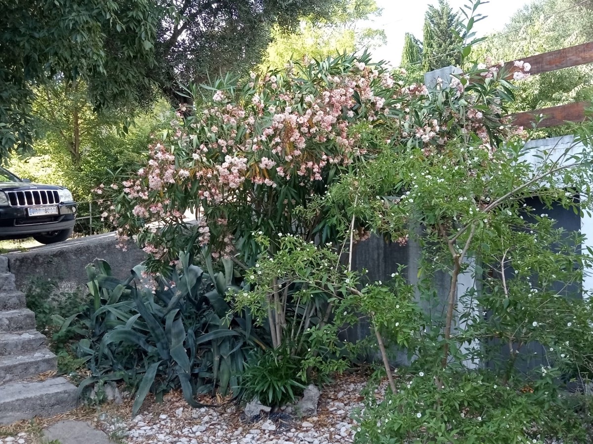 Casa Bribir, Vinodolska Općina, 167m2