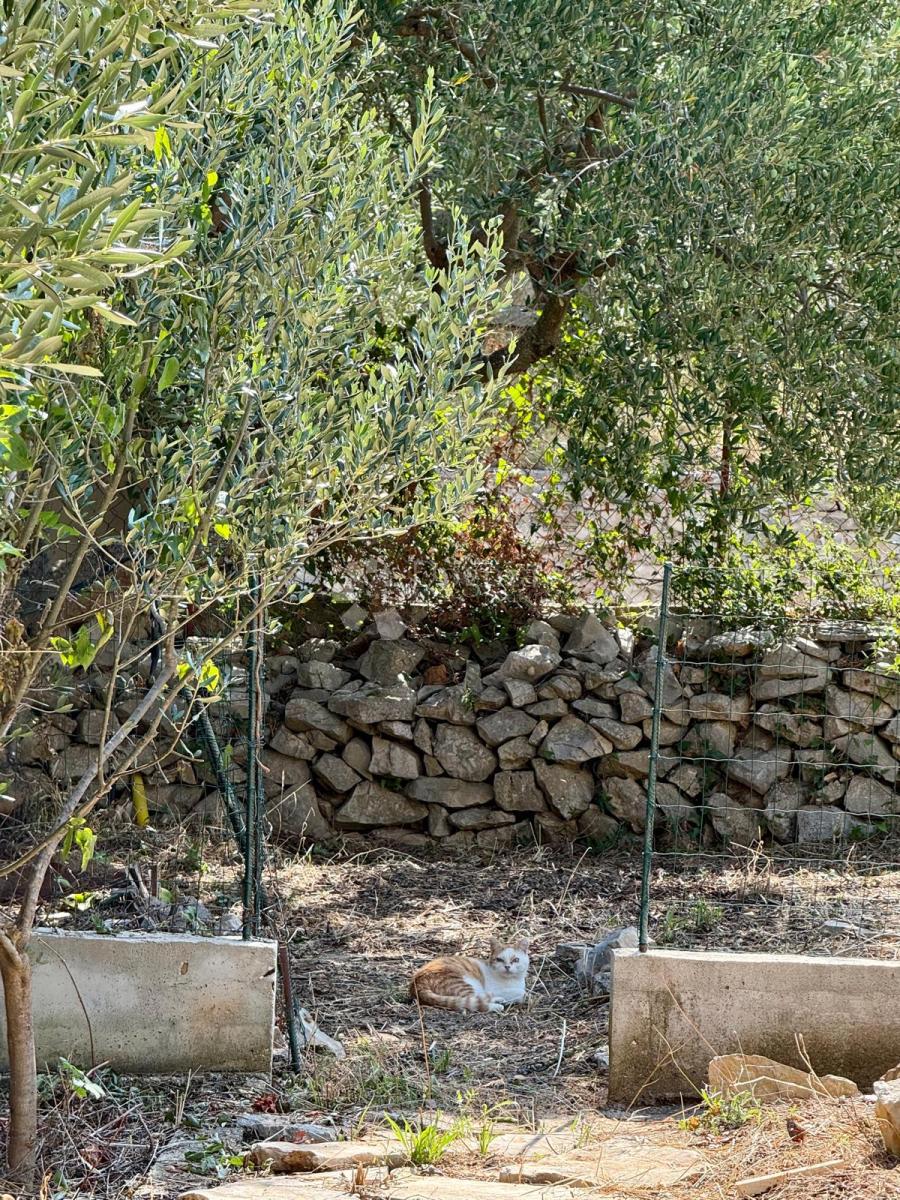 Dolcezza Mediterranea – Due Unità Abitative!