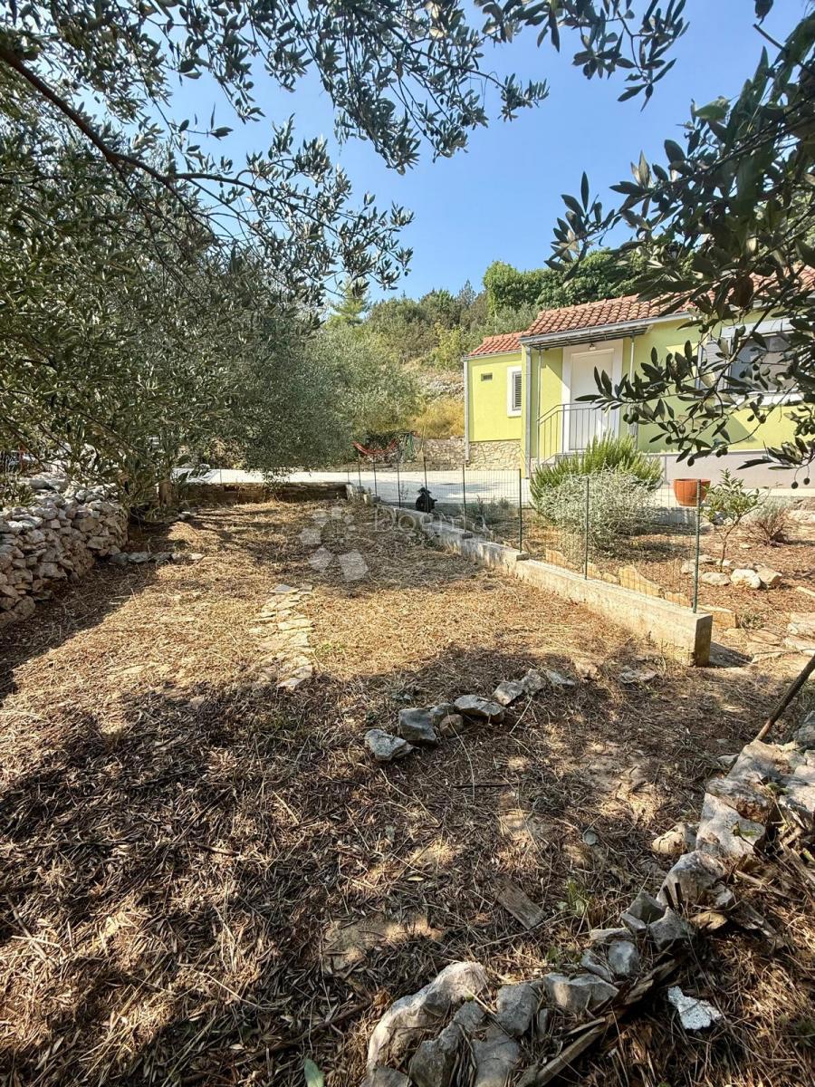 Dolcezza Mediterranea – Due Unità Abitative!