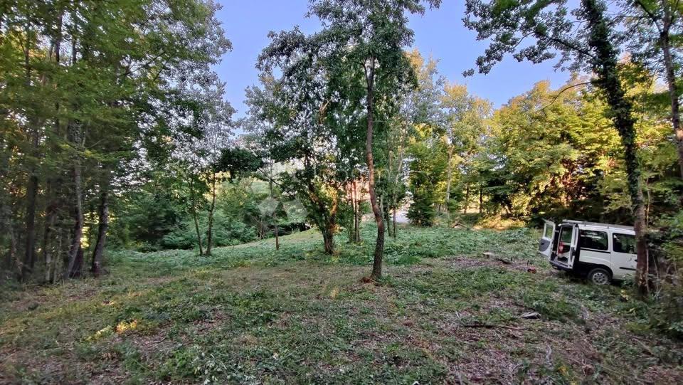 Terreno edificabile Stari Pazin, Pazin, 1.209m2