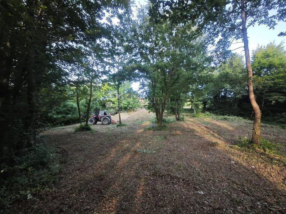 Terreno edificabile Stari Pazin, Pazin, 1.209m2