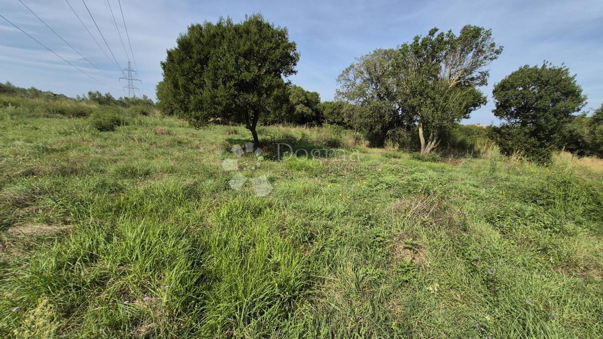 Superficie terreno edificabile 541m2